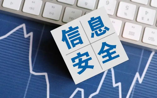 2025年國(guó)家網(wǎng)絡(luò)安全宣傳周 聚焦網(wǎng)絡(luò)與信息安全軟件開發(fā)